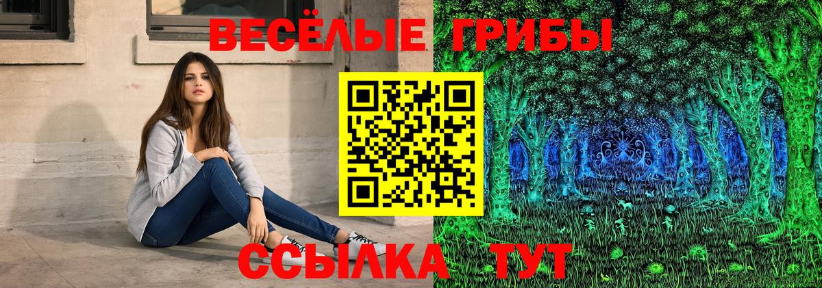 Галлюциногенные грибы GOLDEN TEACHER  Вход с VPN  Златоуст 