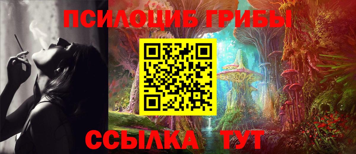 Галлюциногенные грибы мицелий Златоуст